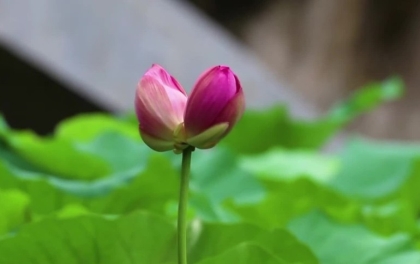 Băn khoăn về giữ giới thứ ba